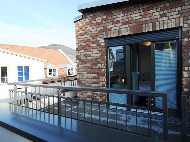 Charming, fantastic Townhouse in Heidelberg with roof deck, Heidelberg Amsterdam Apartments for Rent