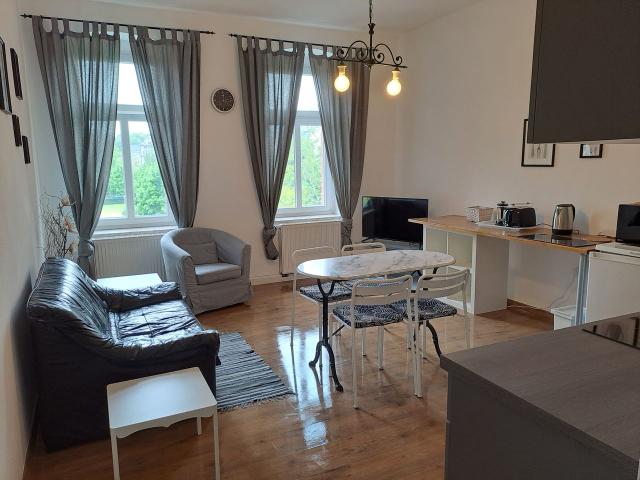 charming flat Mühle 4 in centrum of Chemnitz, Chemnitz Amsterdam Apartments for Rent