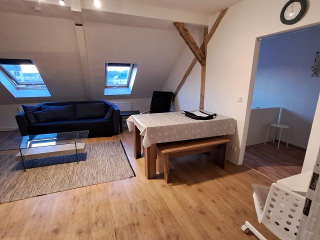 charming flat Mühle 6 in centrum of Chemnitz, Chemnitz Amsterdam Apartments for Rent