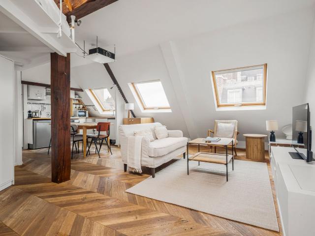 Charming Furnished 1 Bedroom in Paris, Paris Amsterdam Apartments for Rent