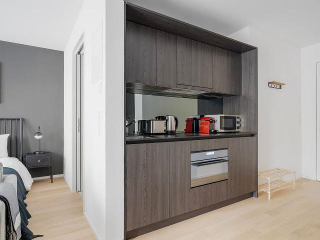 Charming Furnished Studio in Sihlfeld, Zurich Amsterdam Apartments for Rent