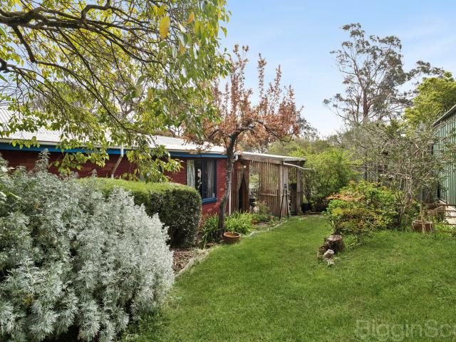 Charming Garden Cottage on Half an Acre – Renovator’s Opportunity