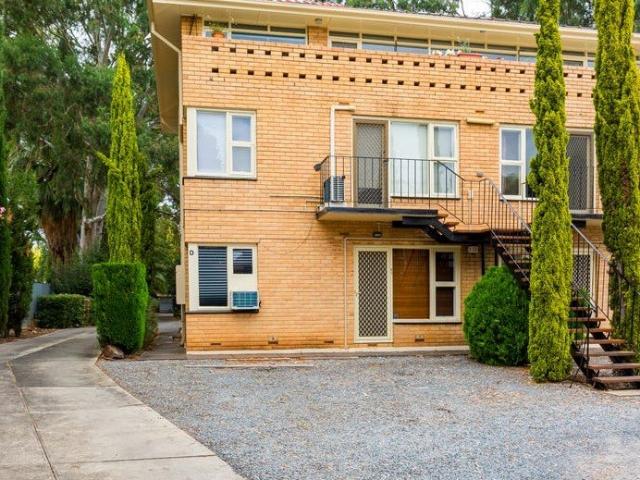 Charming Ground Floor Unit in the Heart of Norwood!