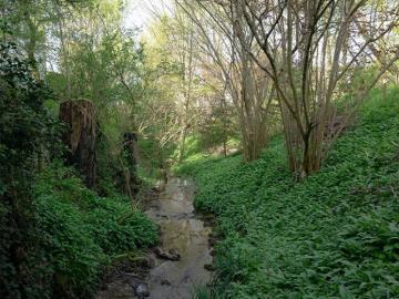 Uetikon am See, Bezirk Meilen, Kanton Zürich