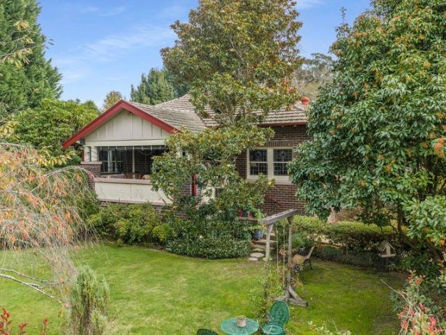 Charming Highlands Character with Storybook Appeal