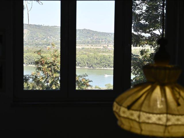 Charming Living with Danube View in the 19th District