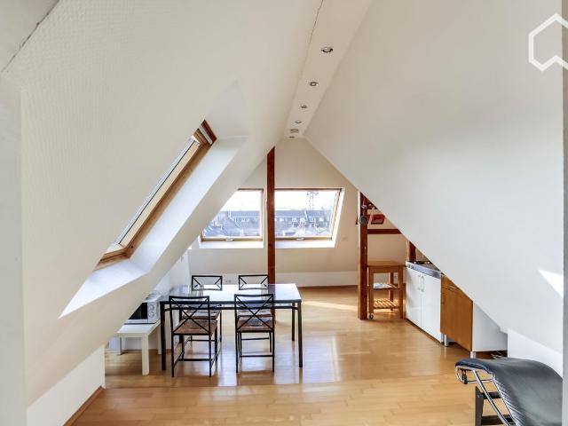 Charming loft above Cologne, Koln Amsterdam Apartments for Rent
