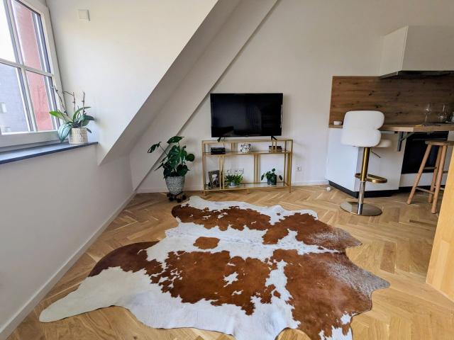 Charming loft in city center of Erlangen, Erlangen Amsterdam Apartments for Rent