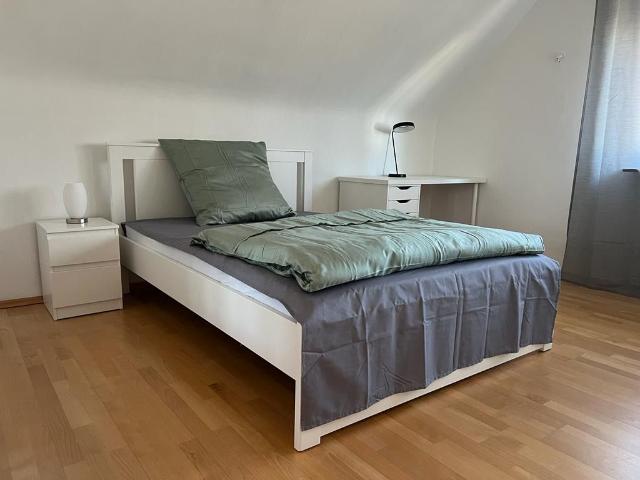Charming loft Rodgau, Rodgau Amsterdam Apartments for Rent