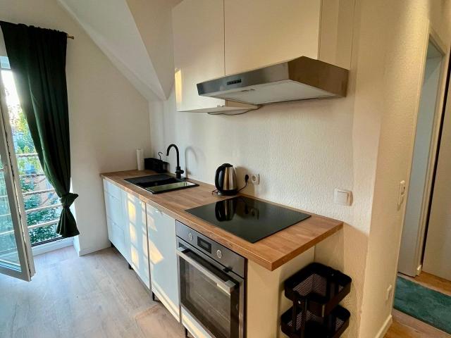 Charming newly renovated attic studio in Dresden Pieschen – first occupancy, balcony coming, Dresden Amsterdam Apartments for Rent