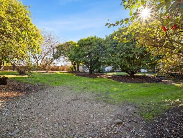 Charming Original Home on Expansive Town Block!
