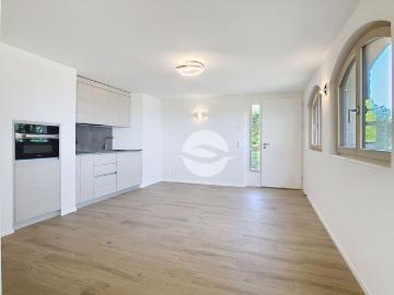 Charming renovated house with 2.5 rooms flat LAKE AND ALPES VIEW