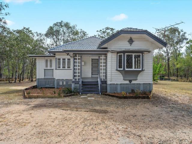Charming Renovated Home in a Quiet Lowood Location