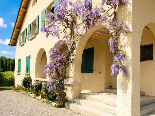 Charming Sale: 5 Zimmer Wohnung in Plan les Ouates