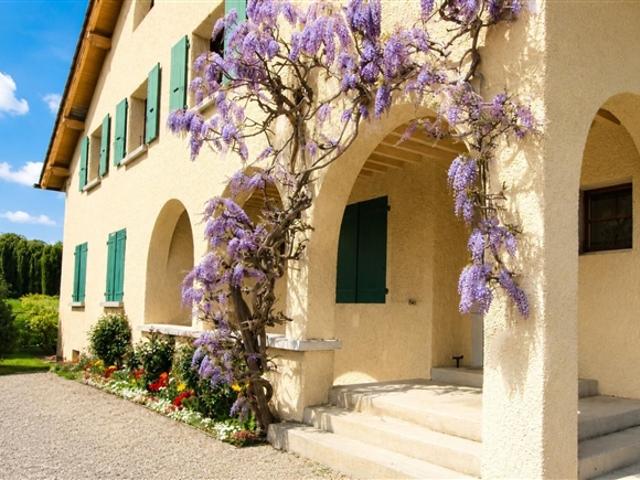 Charming Sale 5 Zimmer Wohnung in Plan les Ouates