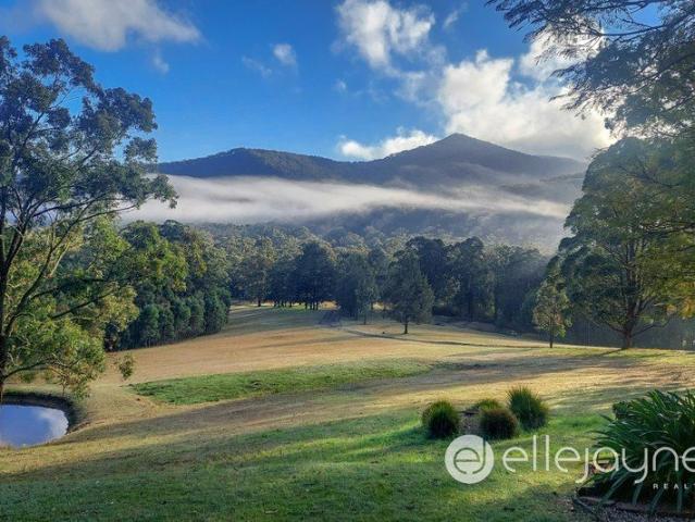 CHARMING SINGLE LEVEL HOMESTEAD ON 21.97 ACRES WITH MAGIC ELEVATED VIEWS OF SUGARLOAF CONSERVATION AREA BRUNKERVILLE