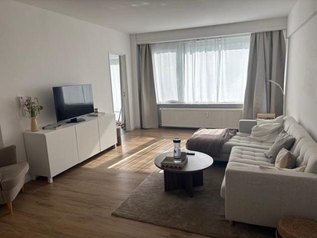 Charming Spacious 1 Bed in Zurenborg