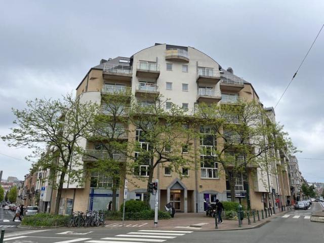 Charming studio in a new building