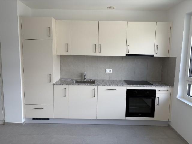 Charming Studio on the 2nd floor in the heart of the Greenparc district D205
