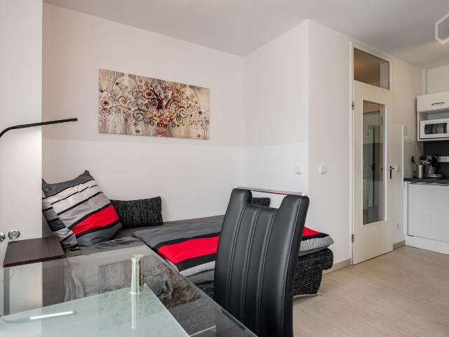 Charming & stylish apartment Superior equipment Munich, Munchen Amsterdam Apartments for Rent