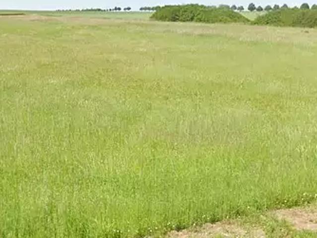 Charrey sur Saône 21170 Programme neuf maison neuf à vendre 4 pièces