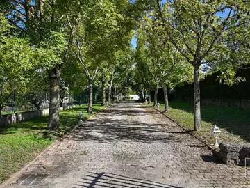 Chasselay 69380 Achat / Vente maison 8 pièces t8 piscine