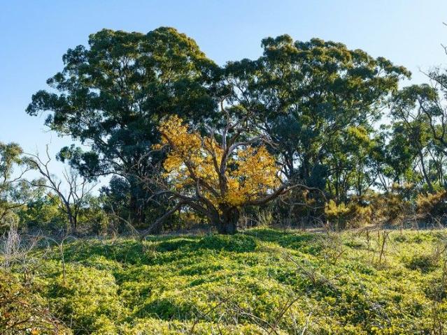 Chewton near Castlemaine, Land