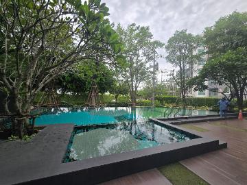 เช่า 9000฿ Zelle คอนโดศาลายาห้องใหม่กริ๊บบ! ห้องมุม สวยพร้อมอยู่