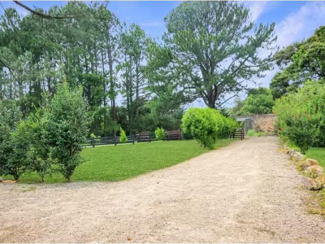 Cheap 459 Herons Creek Road, HERONS CREEK House for rent List.