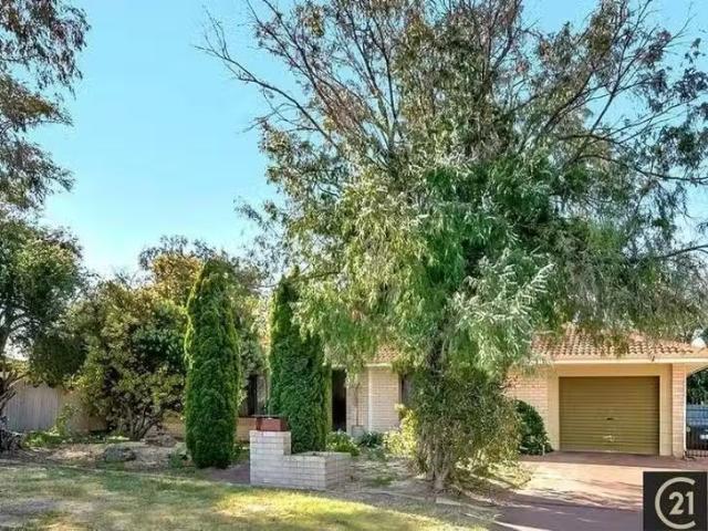 Deal! 4 Beagle Place, Carey Park, WA 6230