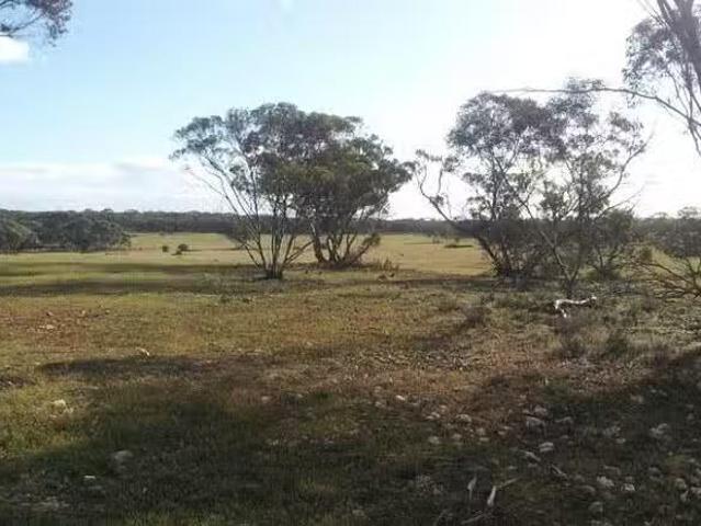 New 648 Goondooloo Road, Bowhill, SA 5238