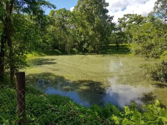 Just in! 77 Santacatterina Road, Finlayvale QLD 4873