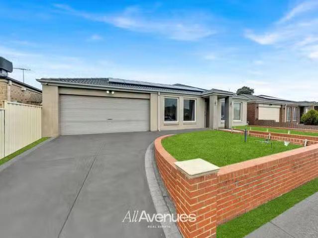 For Rent! 7 Robusta Avenue, Cranbourne, VIC 3977
