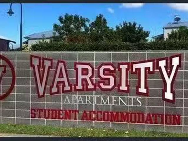 Cheap 8 Varsityview Court, Sippy Downs, QLD 4556