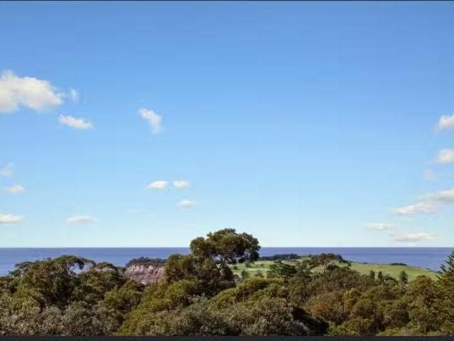 Cheap 95 Anzac Avenue, COLLAROY House for rent Listed by For.
