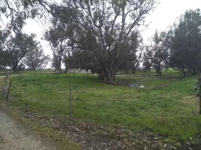 Unique 104 Edges Road, Nirimba, WA 6208