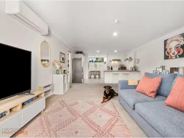 Unique 133/14 Boolee Street, Reid Apartment for rent Listed b.