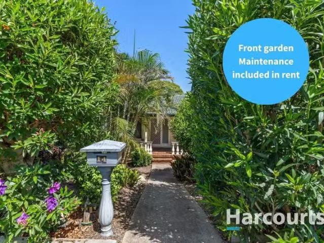 Cheap 14 Pillapai Street, Charlestown, NSW 2290 House for Rent
