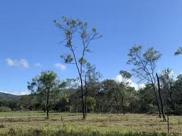 Just in! 157 Koah Road, Koah, QLD 4881