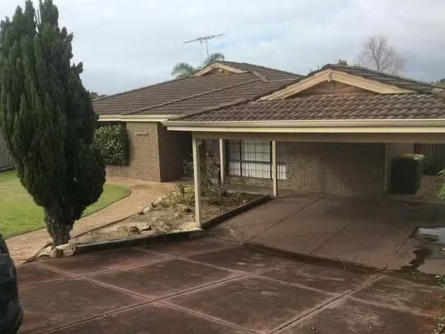 New 19 Underwood Grove, Kardinya, WA 6163