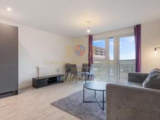 Nice 1 BA 1 bedroom apartment for rent in Flat, Chamberlain C.