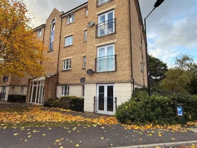 Rental! 1 BA 2 bedroom apartment for rent in Cornflower Drive.