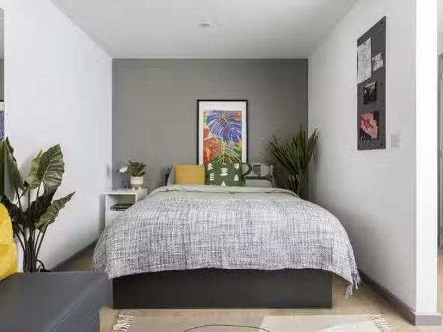 Rental! 1 BR St Vincent's Place Accessible Studio, Classic