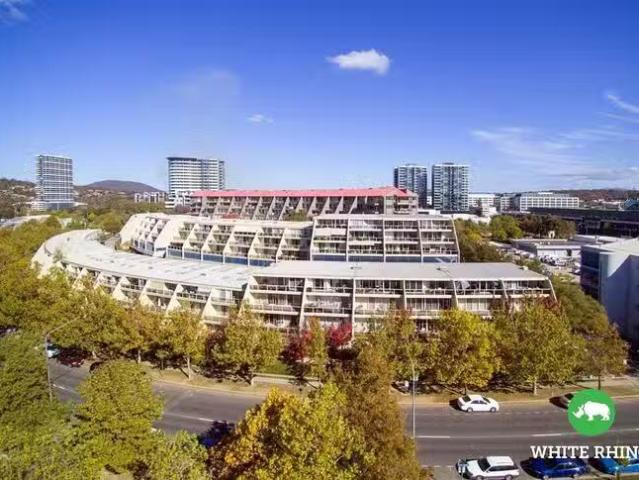 Cozy 1 BR 34A/17 Chandler Street, Belconnen, ACT 2617