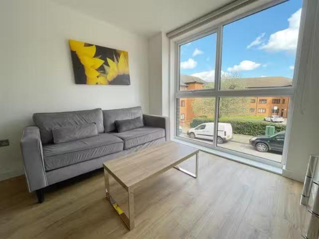 New 2 BA 2 bedroom apartment for rent in B1, 3 Helena Street, B1