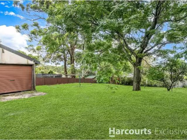 Just in! 307 North Rocks Road, North Rocks House for rent Lis.