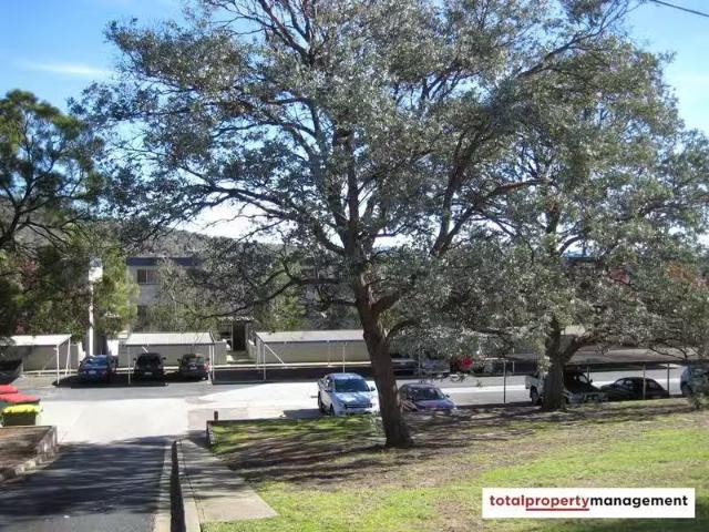 Just in! 3/4 Wilkins Street, MAWSON Apartment for rent Listed.
