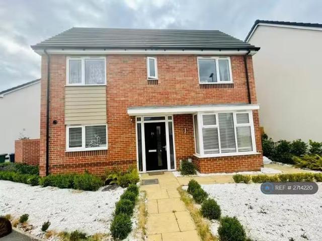 New 3 BA 3 bedroom detached house for rent in Wynne Crescent.