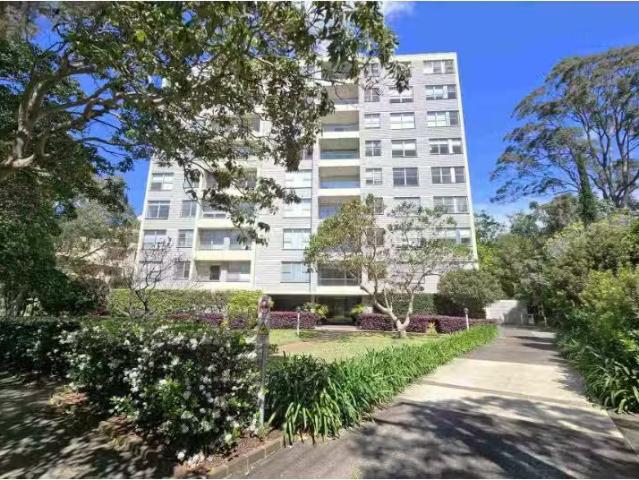 Cozy 3 BR 11/9 13 Hampden Avenue, Cremorne Apartment for rent.