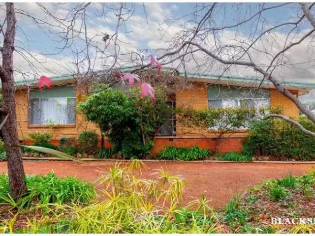 Just in! 3 BR 12 Douglas Place, Curtin House for rent Listed.